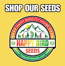 List of Our Genetics | Happy Birds Fly Higher! List of Our Genetics | Happy Birds Fly Higher!